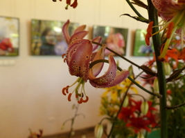 Foto: Dr. Peter Müller